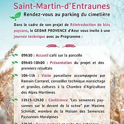 0704_st_entraun.jpg